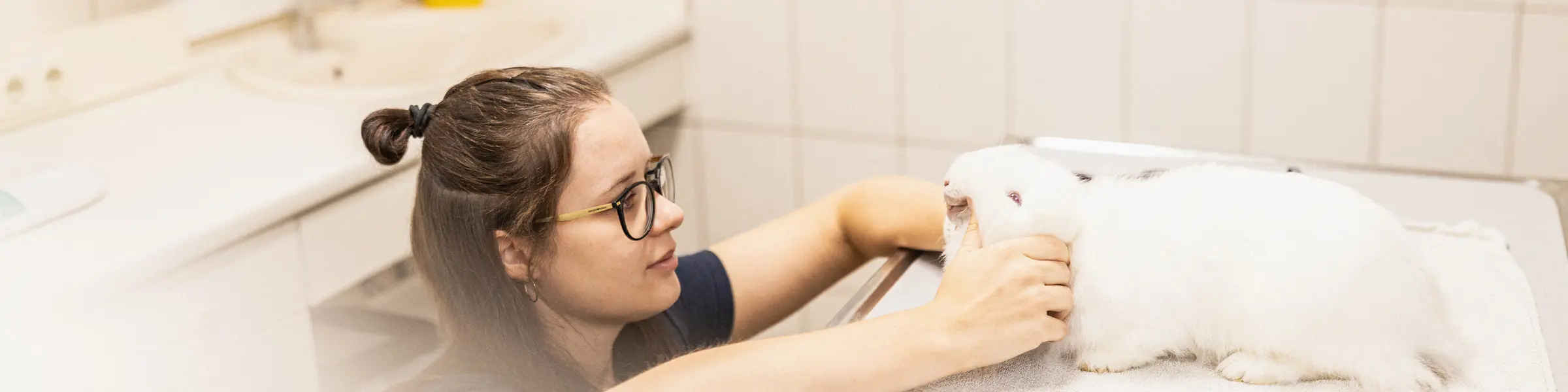Tierärztin behandelt einen Hasen